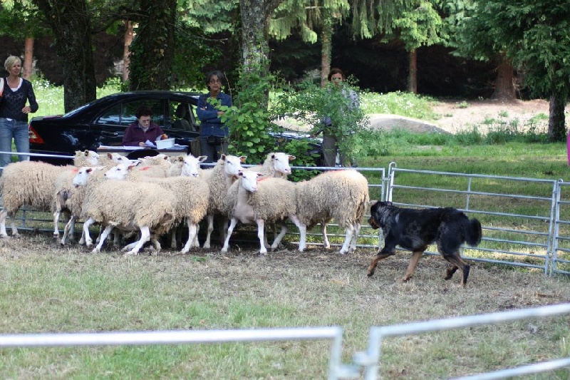 Guroc CANT NE La Souteraine 2012