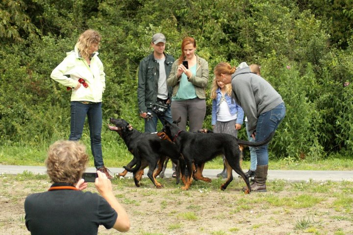 Petite rendezvous H-chiots